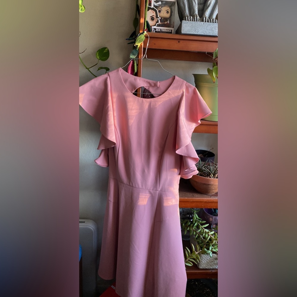 Pink dress. Brand new.